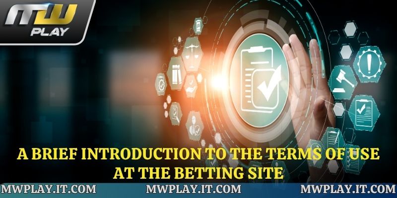 General information about the Mwplay terms of use