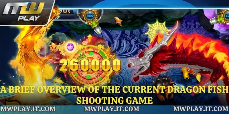 A brief overview of the current Dragon Fish shooting game