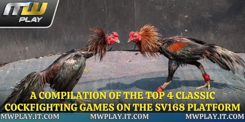 Top 4 classic games at the SV168 cockfighting lobby