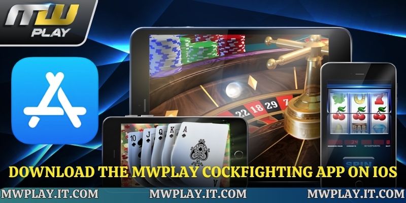 Detailed instructions on how to Download the Mwplay App on iOS