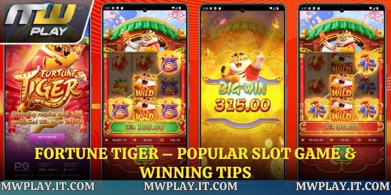 Fortune Tiger – Popular Slot Game & Winning Tips