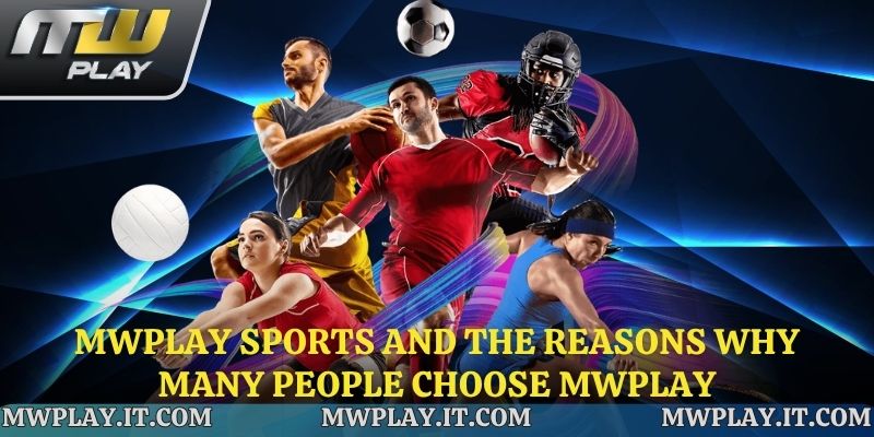 Reasons why it's popular among many players