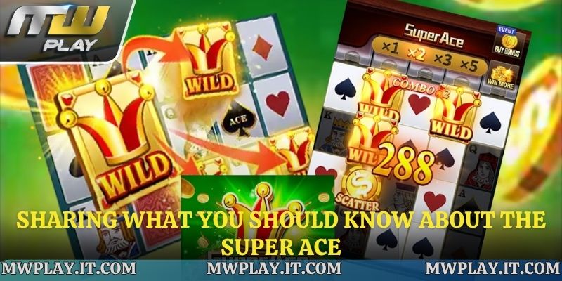 Overview of Super ACE