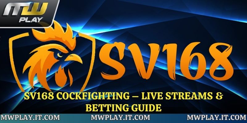 Sv168 Cockfighting – Live Streams & Betting Guide