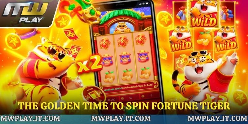 Smart playing strategies help maximize profits