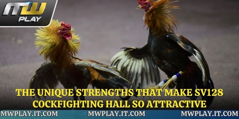 The outstanding strengths that make SV128 cockfighting so attractive