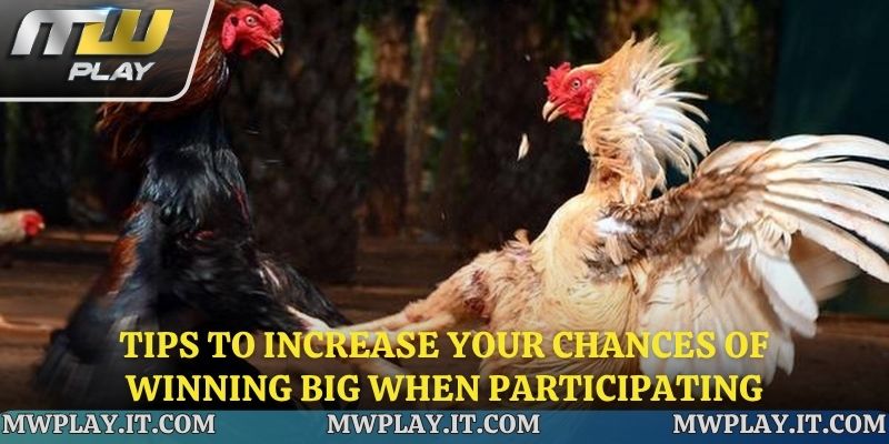 Tips for making big winning bets