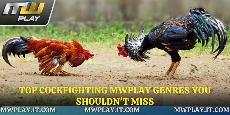 A wide variety of options to choose from