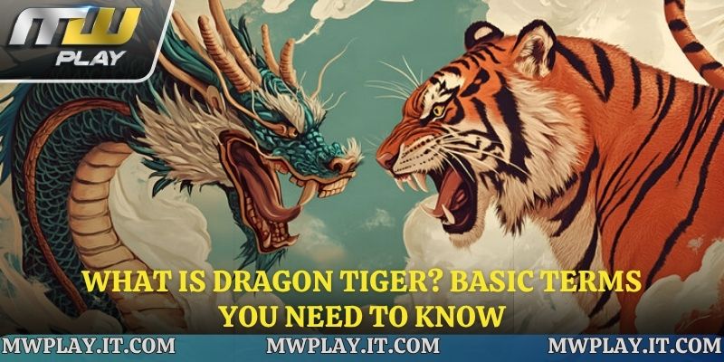 To have a better experience, you need to understand the terminology