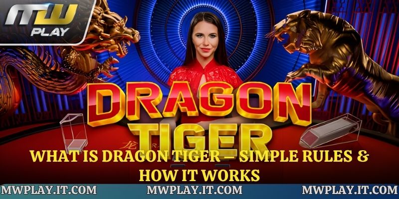 What Is Dragon Tiger – Simple Rules & How It Works
